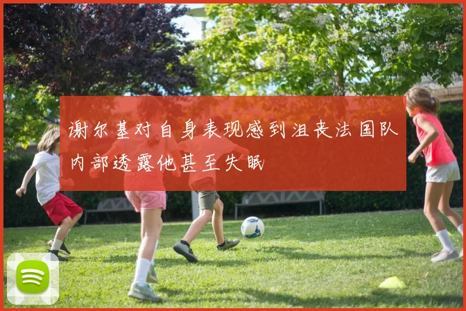 谢尔基对自身表现感到沮丧法国队内部透露他甚至失眠
