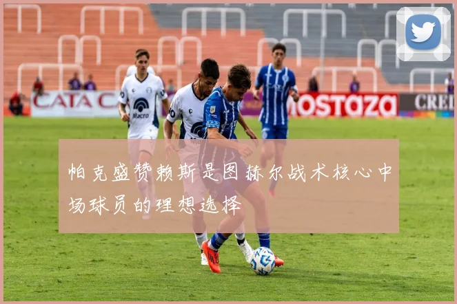 帕克盛赞赖斯是图赫尔战术核心中场球员的理想选择